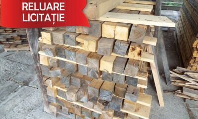 Material Lemnos Lot 4: 5,41 m3 cherestea esență rășinoasă, molid, căpriori 3,11 m3 (a II-a licitatie)